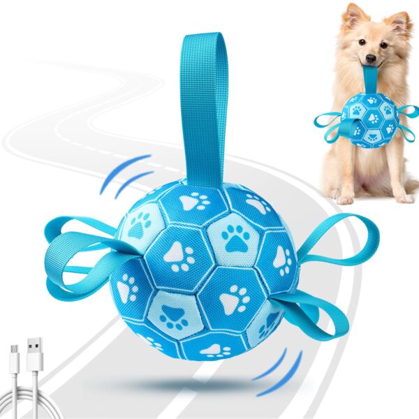 Qraxond Interaktiver Hundeball mit Bewegungssensor – USB-aufladbar für kleine bis grosse Hunde