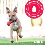 KONG Extreme Goodie Bone für grosse Hunde – Befüllbarer Kautschuk-Knochen für starke Kauer – Bild 7