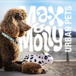 Max & Molly Matrix 2.0 Ultra LED – Hundelicht USB-aufladbar für Halsband & Geschirr – Bild 6