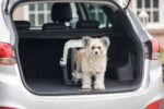 Karlie Flugzeugbox Nomad L – IATA-zertifizierte Transportbox für Hunde bis 10 kg – Bild 3