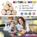 ZLWENA 12-teiliges Musikinstrument-Set für Kinder – Montessori Schlagzeug mit Xylophon – Bild 6