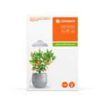 LEDVANCE LED Pflanzenleuchte mit 235 Lumen – Wachstumslicht für Indoor Garten & Kräuter – Bild 5