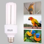 DERNORD UVB UVA Vogellampe E27 20W – Vollspektrum Wärmebirne für Papageien – Bild 6