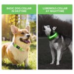 PcEoTllar LED Leuchthalsband Hund Grün-L – Aufladbar & Wasserdicht mit 7 Farben – Bild 7