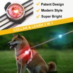 2er-Pack Tubasion LED Hundelicht mit 8 Modi – USB-C Aufladbar & IP67 Wasserdicht – Bild 3