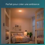 Philips LED SceneSwitch Deckenleuchte 43 cm – 3 Helligkeitsstufen, warmweiss, EyeComfort – Bild 5