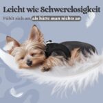 rabbitgoo Hundegeschirr Grösse S mit Air-Mesh – Step-In Ausbruchsicher für kleine Hunde – Bild 4