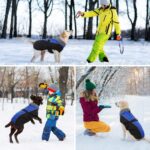 Wasserdichter Hundemantel mit Polarfleece – Winterjacke mit Reflexstreifen für kleine bis grosse Hunde – Bild 7
