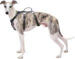 Huntboo Sicherheitsgeschirr M für Mittelgrosse Hunde – Ausbruchsicher mit Reflektoren & Griff