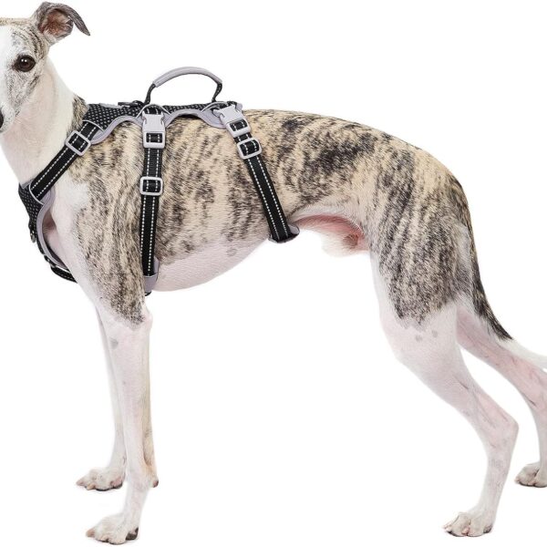 Huntboo Sicherheitsgeschirr M für Mittelgrosse Hunde – Ausbruchsicher mit Reflektoren & Griff