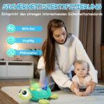 Aragallant Krabbel Schildkröte 6-18 Monate – Interaktives Lernspielzeug mit Musik & Sternenprojektion – Bild 5