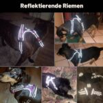 PHOEPET Hundegeschirr M mit Front-Clip & Reflektoren – Anti-Zug-Weste für kleine Hunde – Bild 5