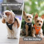rabbitgoo Hundegeschirr Grösse S mit Air-Mesh – Step-In Ausbruchsicher für kleine Hunde – Bild 9