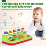 hahaland Pop-Up Spielzeug ab 1 Jahr mit Musik & Licht – Motorikspielzeug für Babys – Bild 4