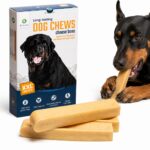 Dilecti Kaukäse XXL für Hunde – 100% Hartkäse, Zahnpflege & Langanhaltender Kausnack (3er-Pack)