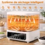 Snovire Dörrautomat mit 5 Einschüben – Profi-Obsttrockner mit 72H-Timer & 35–70°C Temperaturregler – Bild 3