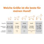 Amazon Basics Kühlendes erhöhtes Hundebett M – Gelenkentlastung & Luftzirkulation – Bild 3