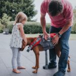 HUNTER Moss Hundeschwimmweste Grösse S – Sicherheit & Auftrieb für kleine Hunde – Bild 8