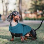 PUZAUKAL Hundepullover Fleece M – Warme Winterjacke für kleine & mittlere Hunde – Bild 5