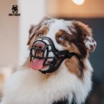 OneTigris Weicher Maulkorb XL – Atmungsaktiv & Verstellbar für grosse Hunde – Bild 7