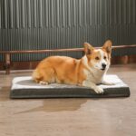 Amazon Basics Gel-Memoryschaum Hundebett 89x56cm – Orthopädisches Hundekissen mit Kühleffekt – Bild 7