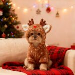 TECHEEL Weihnachts-Elchkostüm für Katzen & kleine Hunde Grösse L – Bild 6