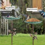 Restorgan Vogeltränke Stehend 26 cm – Stabiles Vogelbad aus Metall mit 5-Zinken-Basis – Bild 2