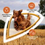 Nobleza Hundeshampoo 500 ml mit Zitronengrasextrakt – Anti-Juckreiz & Milben für Hunde & Katzen – Bild 2