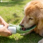 LumoLeaf 800 ml Isolierte Edelstahl-Wasserflasche für Hunde – Temperaturbeständig & Auslaufsicher – Bild 10