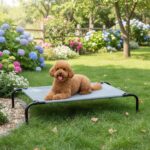 Amazon Basics Kühlendes erhöhtes Hundebett M – Gelenkentlastung & Luftzirkulation – Bild 7