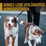 OneTigris Hundeleine 51cm mit Bungee-Ruckdämpfer – Reflektierend für Spaziergänge & Radfahren – Bild 7