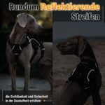 rabbitgoo Hundegeschirr Grösse M mit Tragegriff – Sicherheitsgeschirr für mittlere Hunde – Bild 9