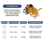Spark Paws Taktisches Hundehalsband 5cm – Robust & Komfortabel für Grosse Hunde – Bild 2