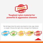 Nylabone Power Chew XXL Kauknochen Bison – Zahnpflege-Kauspielzeug für grosse Hunde ab 23 kg – Bild 3
