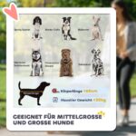PawHut Hundewagen für grosse & mittelgrosse Hunde – Faltbarer Hundetrolley Dunkelgrau mit Stossdämpfern – Bild 4