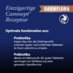 Canosept Darmflora Hund – 30 Tabletten mit Probiotika & Präbiotika für gesunde Verdauung – Bild 3