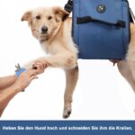 COODEO Hundetragegurt L Blau – Mobilitätshilfe für ältere Hunde & Gelenkprobleme – Bild 7