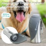 LumoLeaf Hundetrinkflasche 800ml – 2-in-1 Edelstahl Wasserspender für Reisen & Wandern – Bild 6