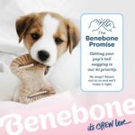 Benebone Welpen 2er-Pack Dental-Kauspielzeug mit echtem Speck – Zahnfreundlich für Welpen – Bild 6