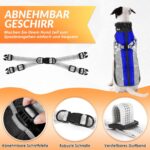 Nasjac Winter Hundemantel mit abnehmbarem Geschirr – Wasserdicht & warm für alle Grössen – Bild 6
