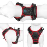 PHOEPET Hundegeschirr Grösse M – Reflektierend, ohne Kopfdurchgang, mit Trainingsgriff – Bild 2