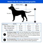 Tiggo DOGGYHUT® Premium Large 2in1 Fahrradanhänger & Hundebuggy – bis 35 kg – Bild 7