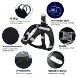 PcEoTllar LED-Hundegeschirr XS aufladbar – 9 Modi, reflektierend für kleine Hunde – Bild 4