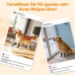 PICK FOR LIFE Hundesocken Anti-Rutsch M mit Klettverschluss – Pfotenschutz für Hartholzboden – Bild 7