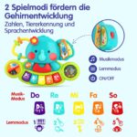 HOLA Elefanten-Musikspielzeug mit Klavier & Licht – Motorikspielzeug für Babys ab 6 Monaten – Bild 4