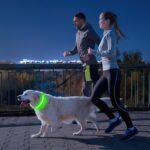 PcEoTllar LED Leuchthalsband Hund Grün-L – Aufladbar & Wasserdicht mit 7 Farben – Bild 2