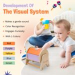 YAANI Regenbogen-Drehtrommel Montessori – Sensorisches Spielzeug ab 6 Monaten – Bild 4