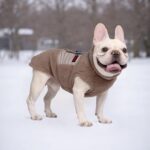 FEimaX Hundejacke mit Fleecefutter – Winddichte Winterweste für kleine & mittlere Hunde – Bild 5