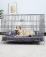 KSIIA Orthopädisches Hundebett 88x55x15cm für grosse Hunde – Waschbar & Wasserdicht – Bild 8