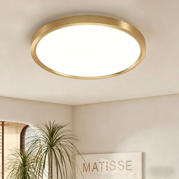 JDONG LED Deckenleuchte Gold Ø30cm – 24W Neutralweiss für alle Räume